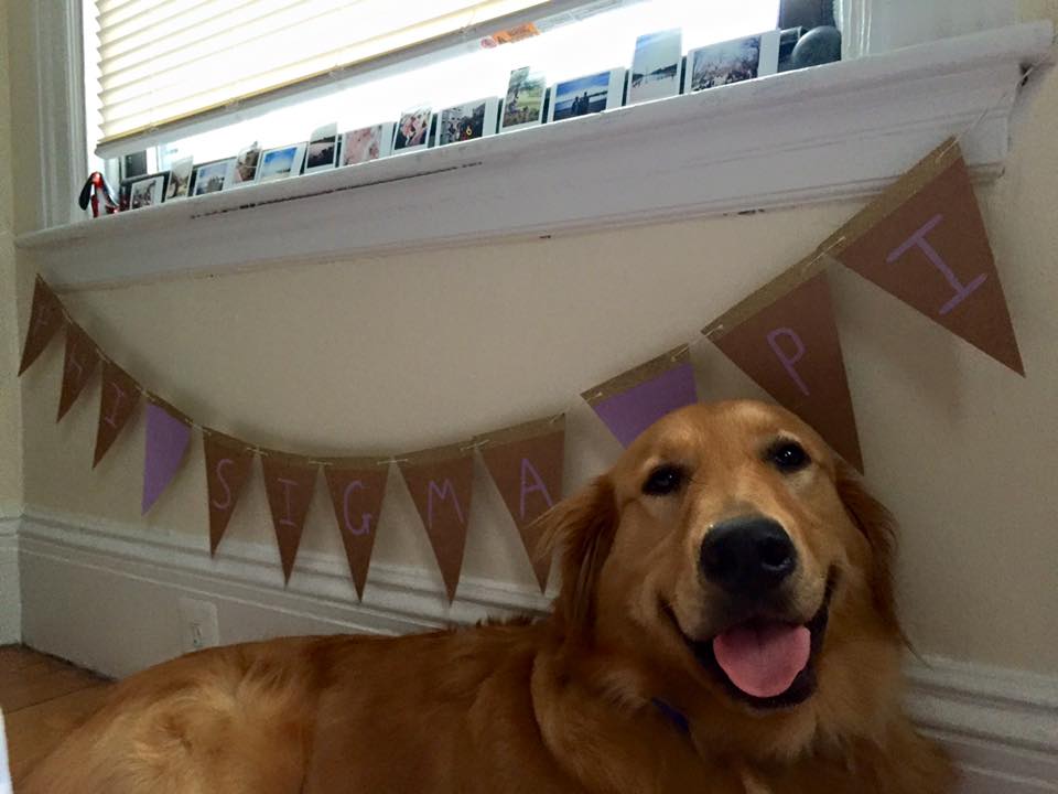 Beamer laying in front of a Phi Sigma Pi banner