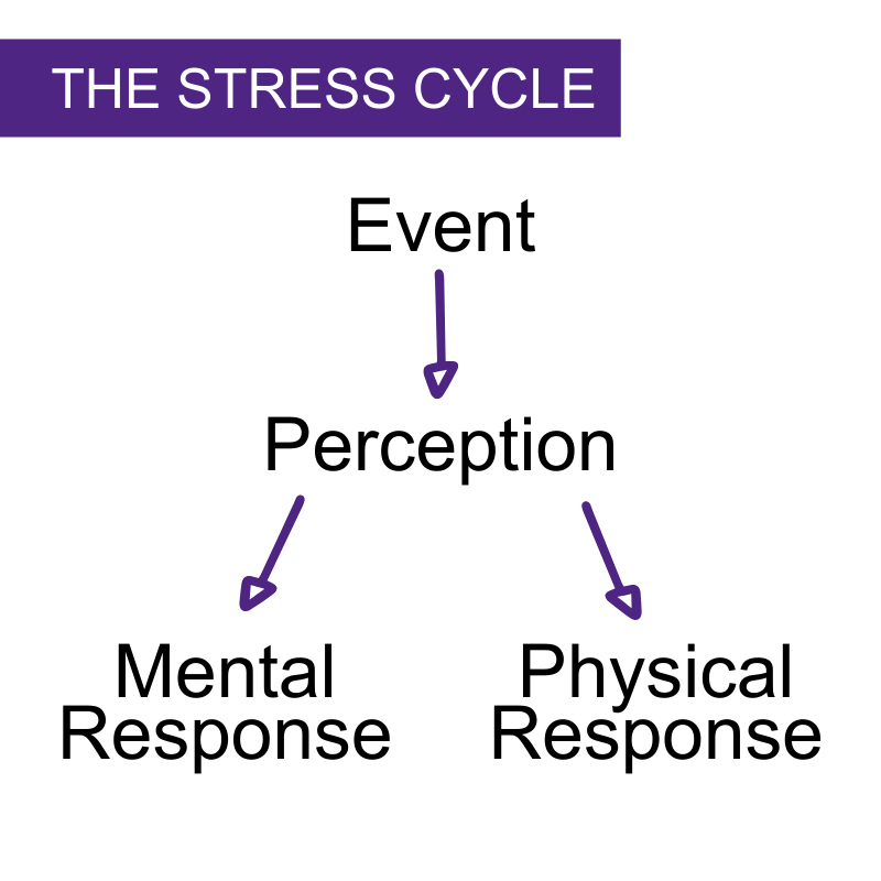 The Stress Cycle